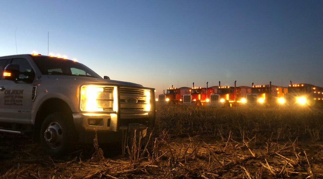 10/31/19 Starting corn on Halloween