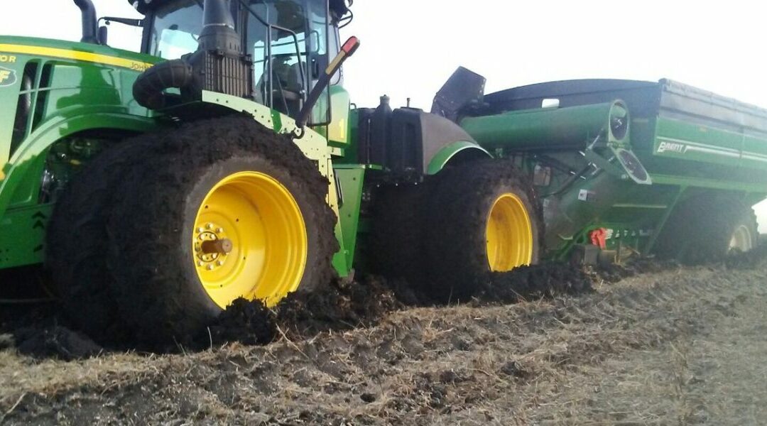 Harvesting in Redwood Falls